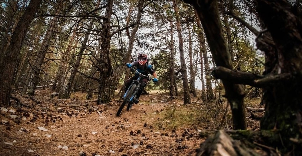 Réparation entretien vélos Roquefort les Pins
